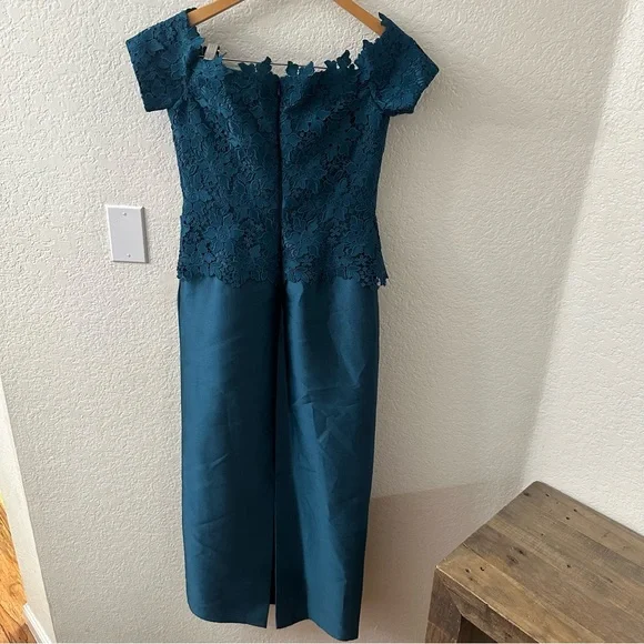 Ricki freeman for Teri Jon Lace Gazar Column Gown size 4 - Picture 4 of 6